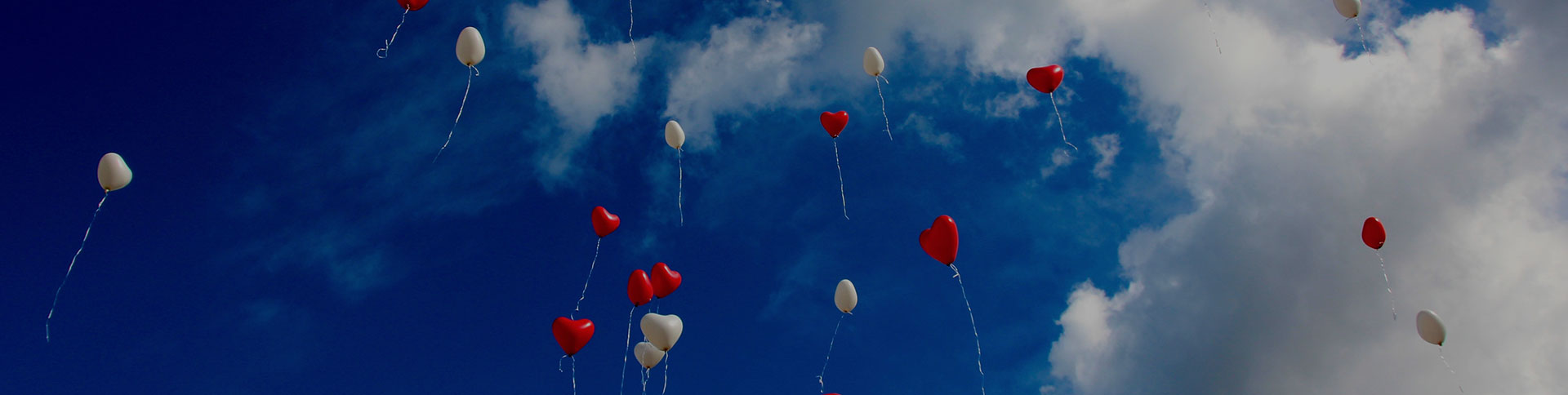 大眾籌-在線眾籌網(wǎng)站平臺(tái)|一網(wǎng)天行-網(wǎng)站建設(shè)小程序APP系統(tǒng)軟件開發(fā)公司