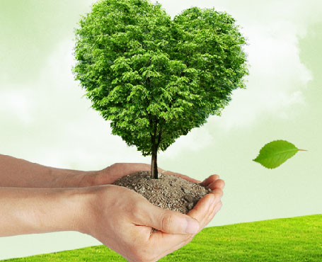 吉林天澤企業(yè)宣傳網(wǎng)站|一網(wǎng)天行-網(wǎng)站建設小程序APP系統(tǒng)軟件開發(fā)公司