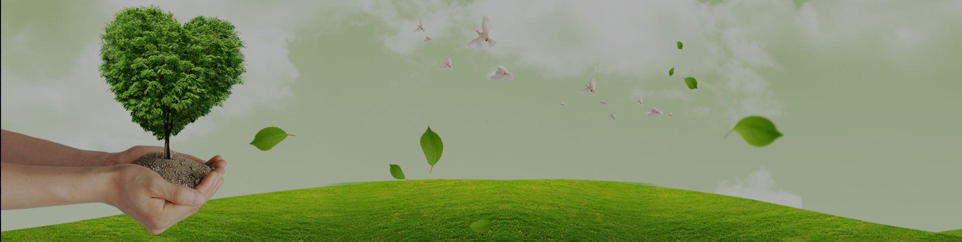 吉林天澤企業(yè)宣傳網站|一網天行-網站建設小程序APP系統(tǒng)軟件開發(fā)公司