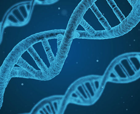 360基因官方網(wǎng)站