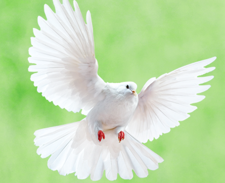 野谷集團網(wǎng)站